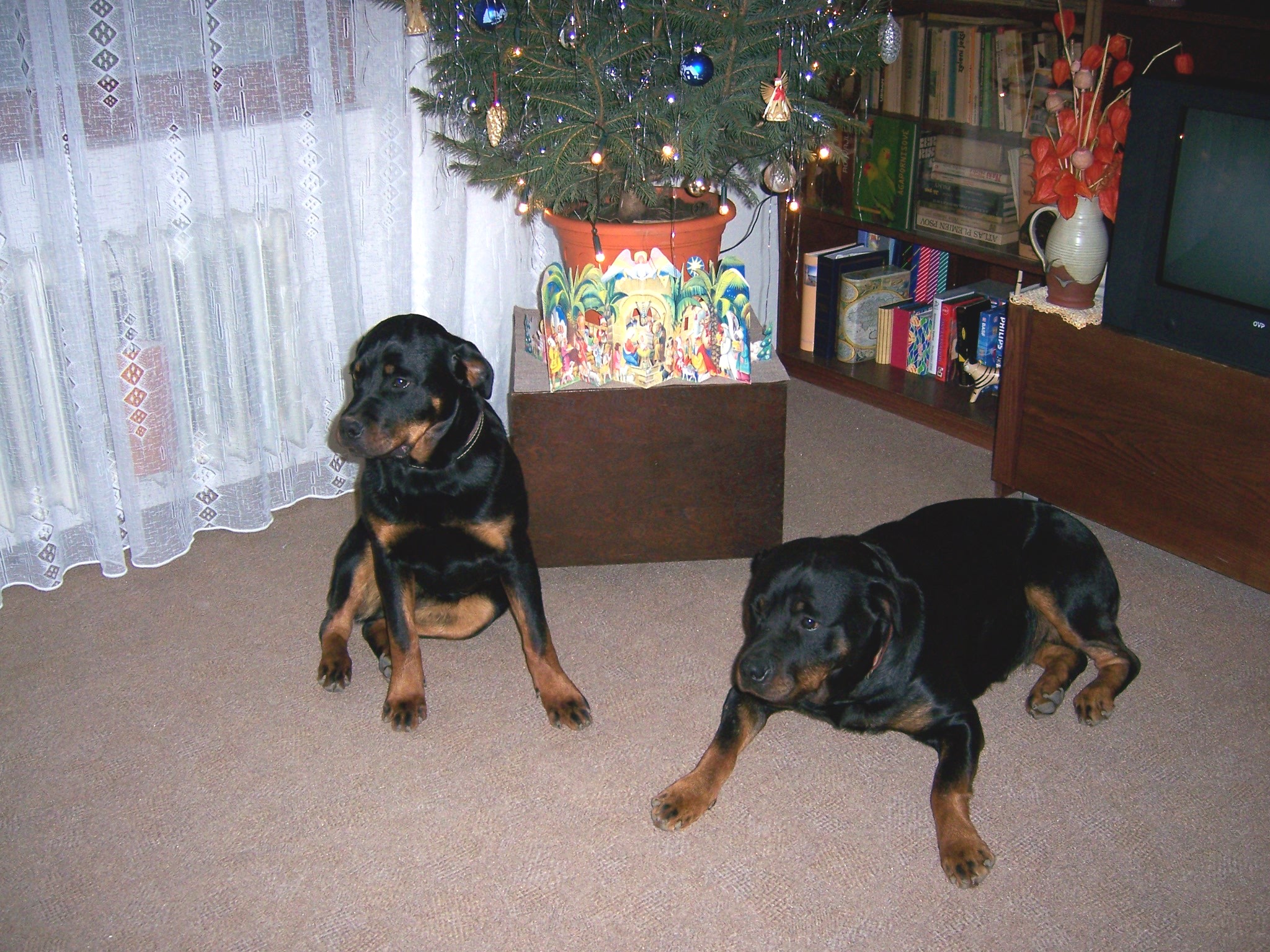 vánoce 2006 002.jpg