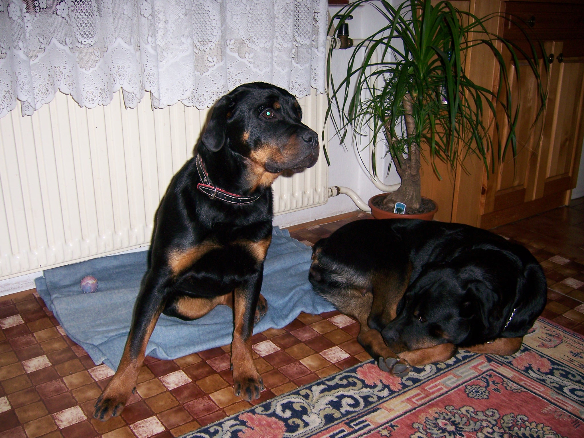 prosinec 2006 leden 2007 013.jpg