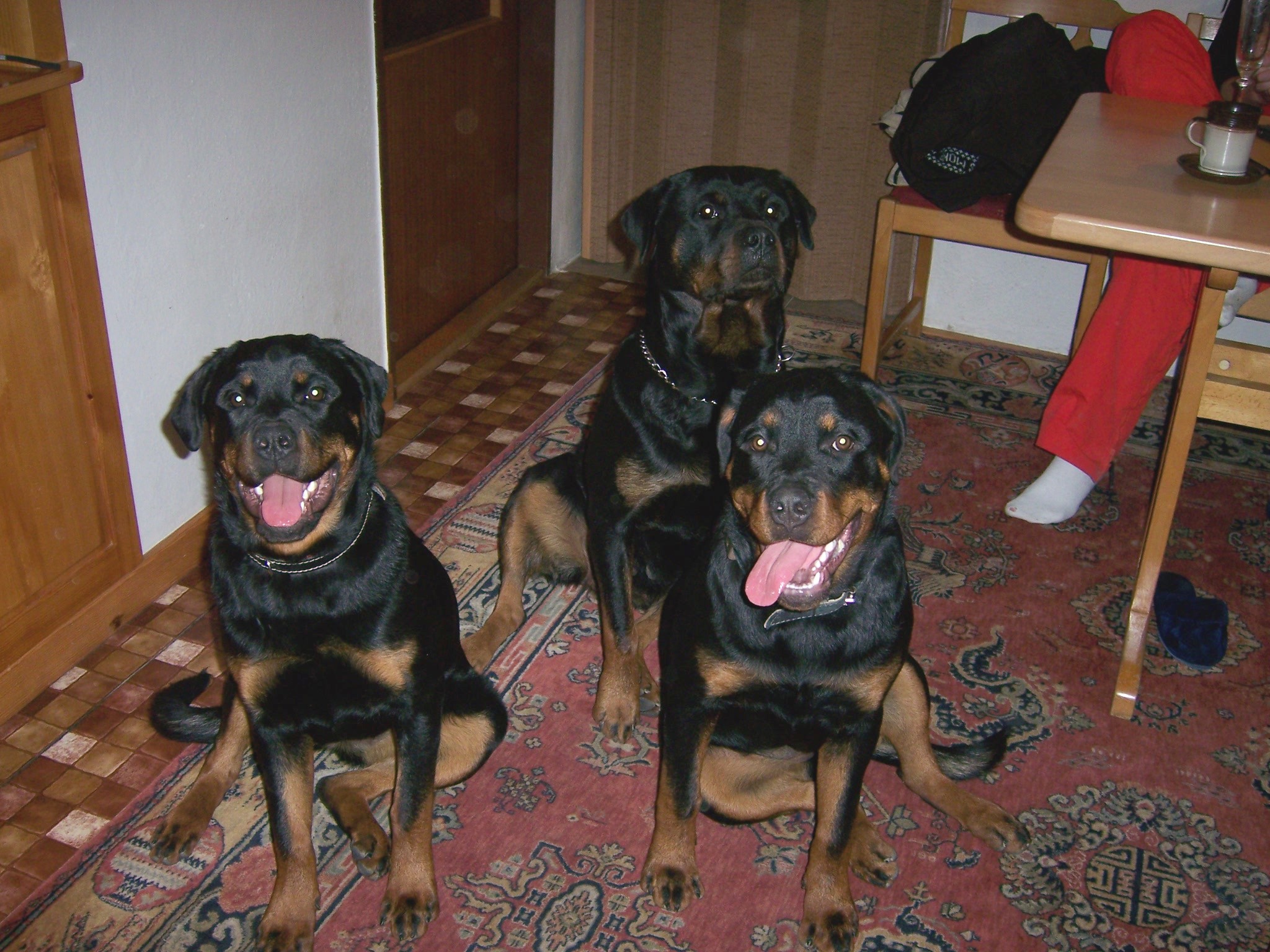 prosinec 2006 leden 2007 029.jpg