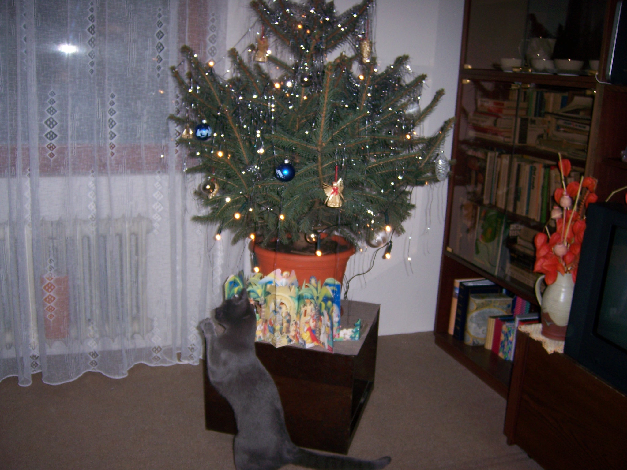vánoce 2006 012.jpg