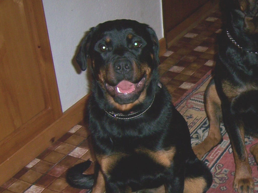 prosinec 2006 leden 2007 036.jpg