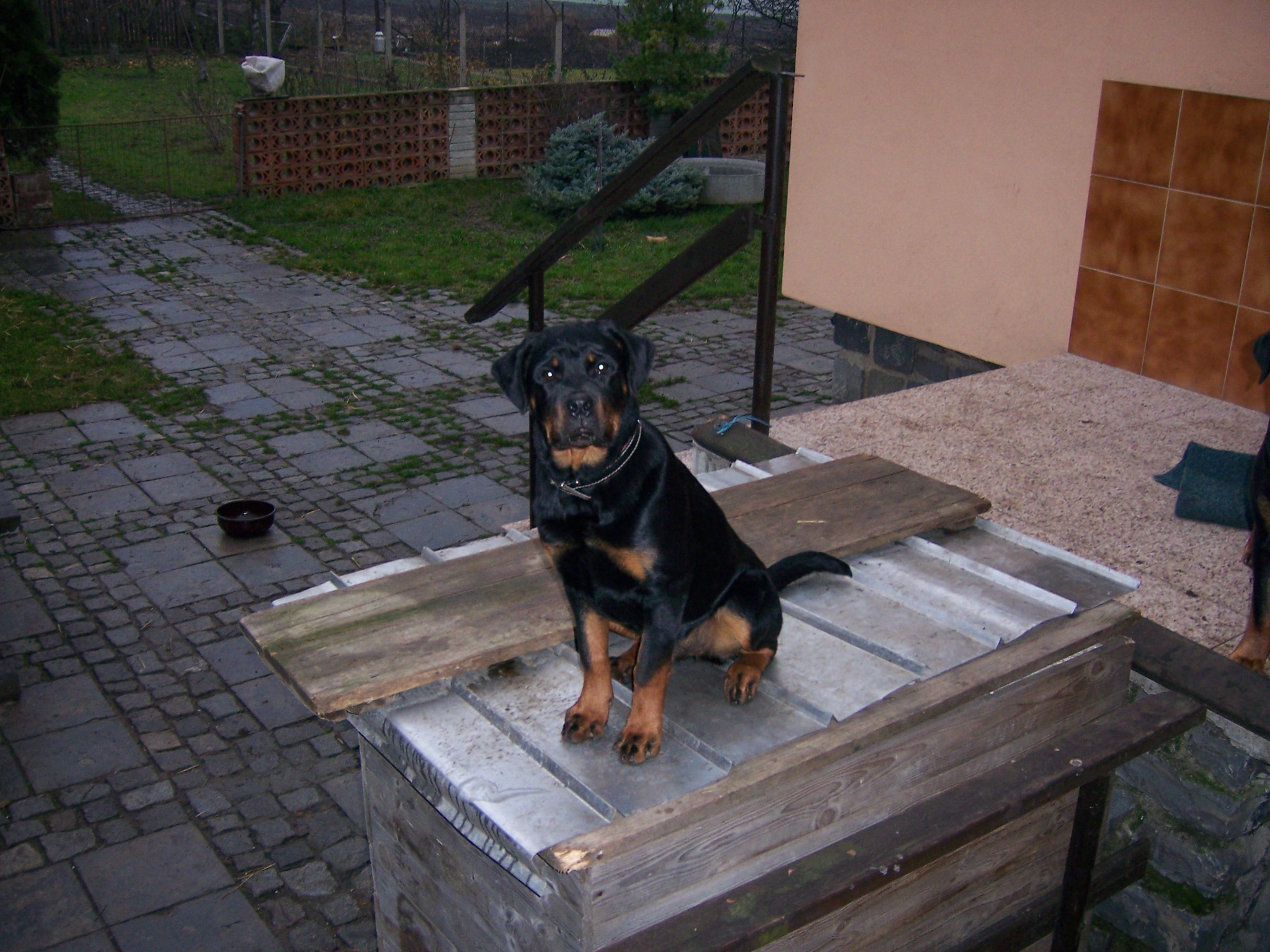 listopad 2006 059.jpg