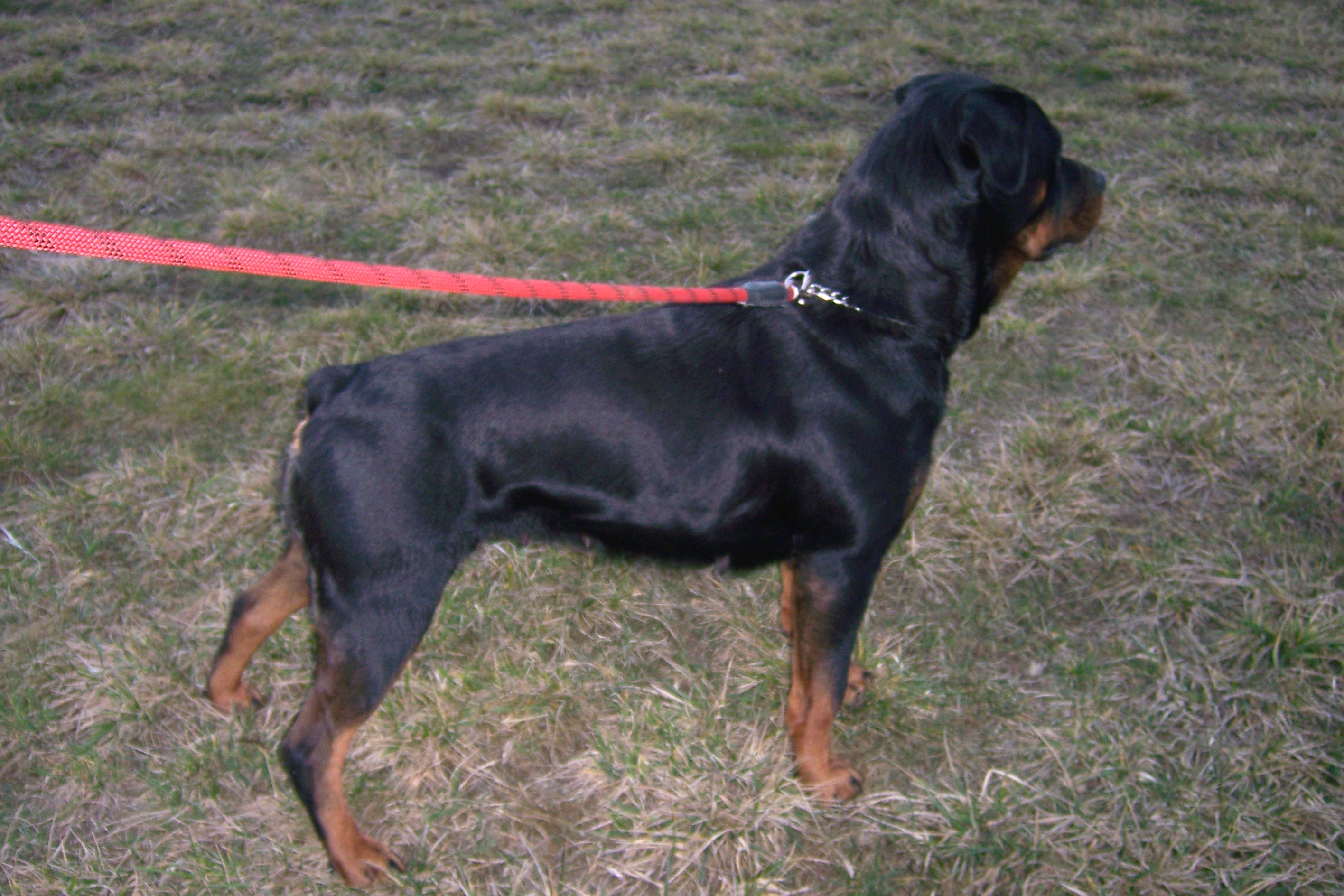 Únor 2007 036.jpg