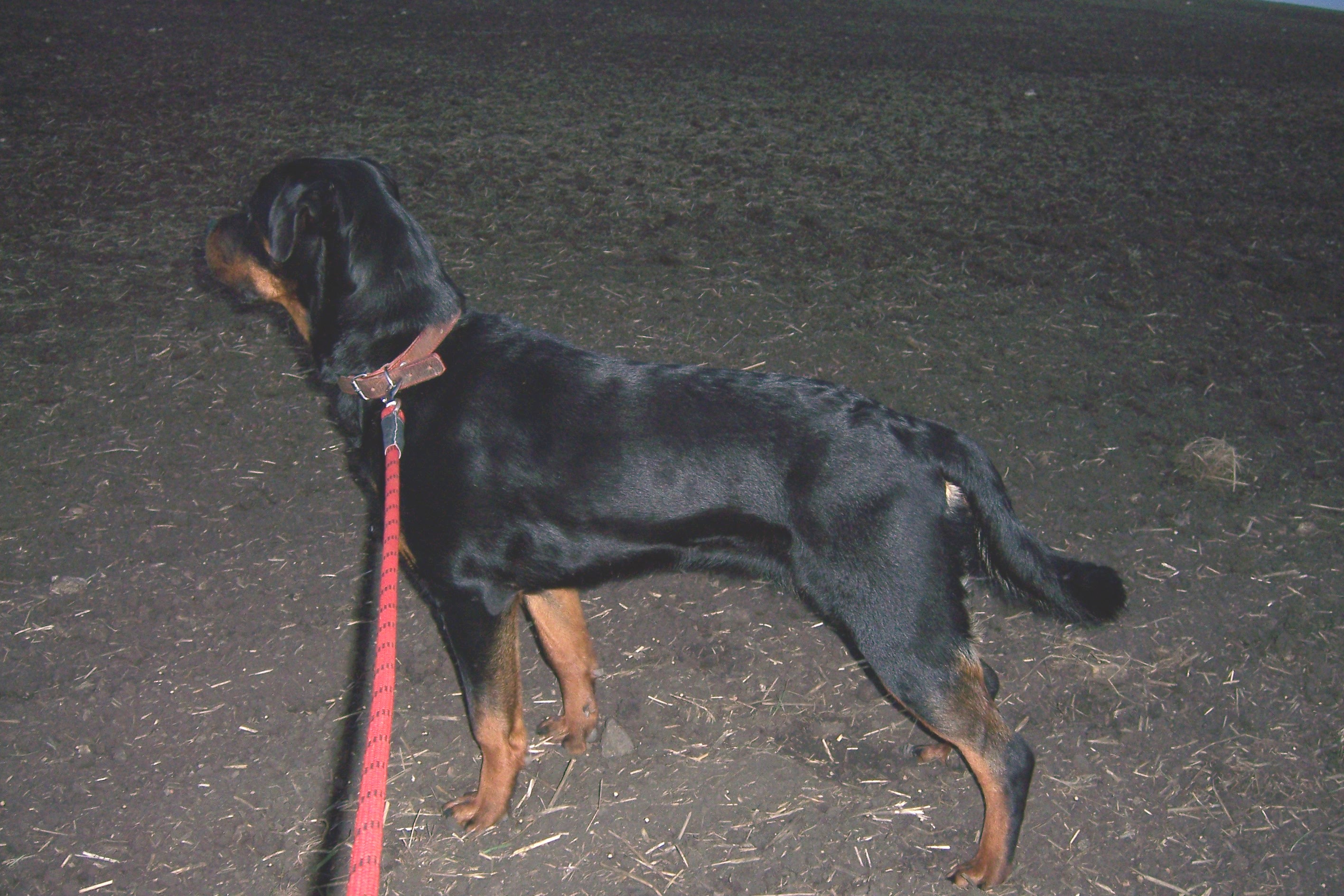 Únor 2007 043.jpg