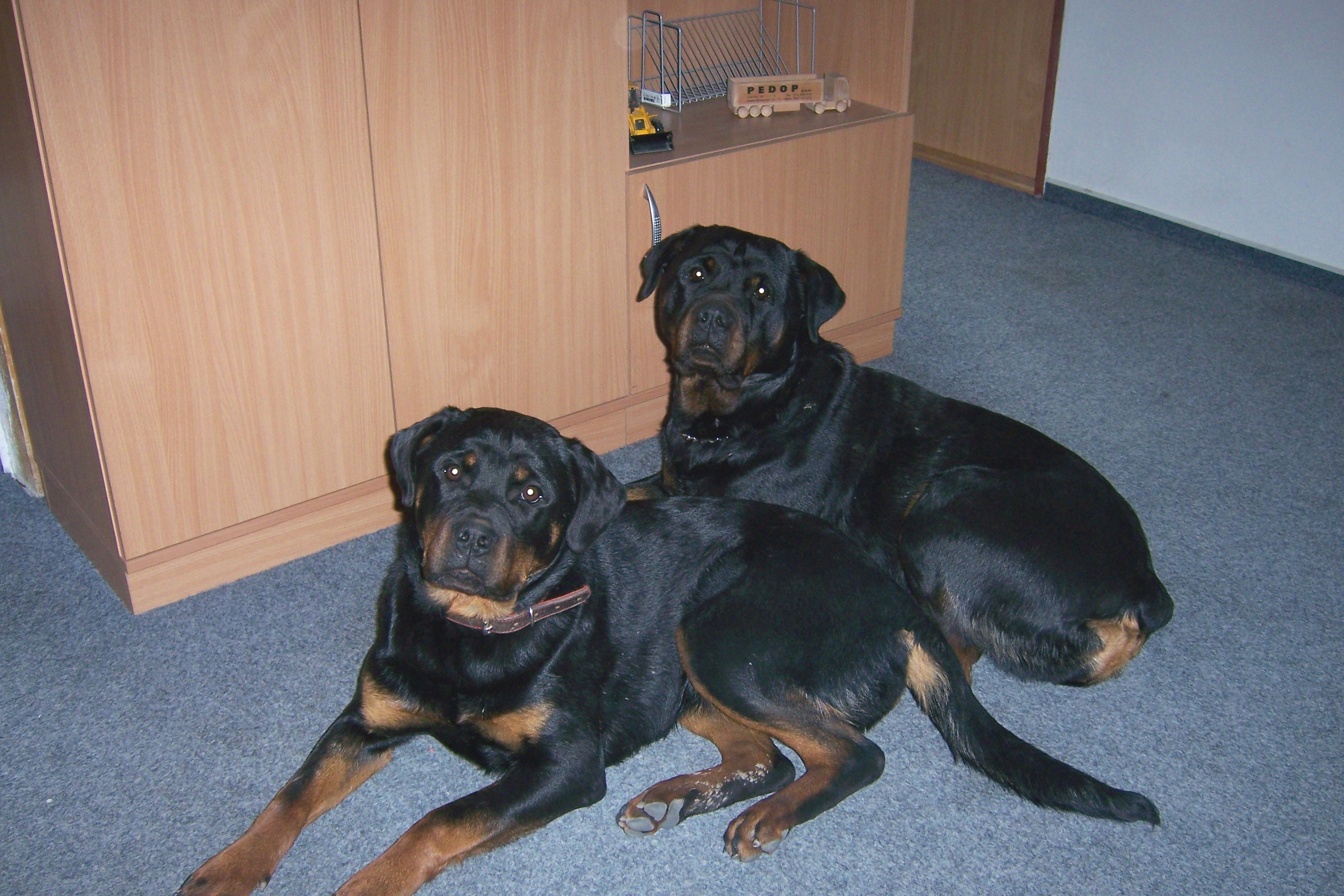 únor 2007 063.jpg