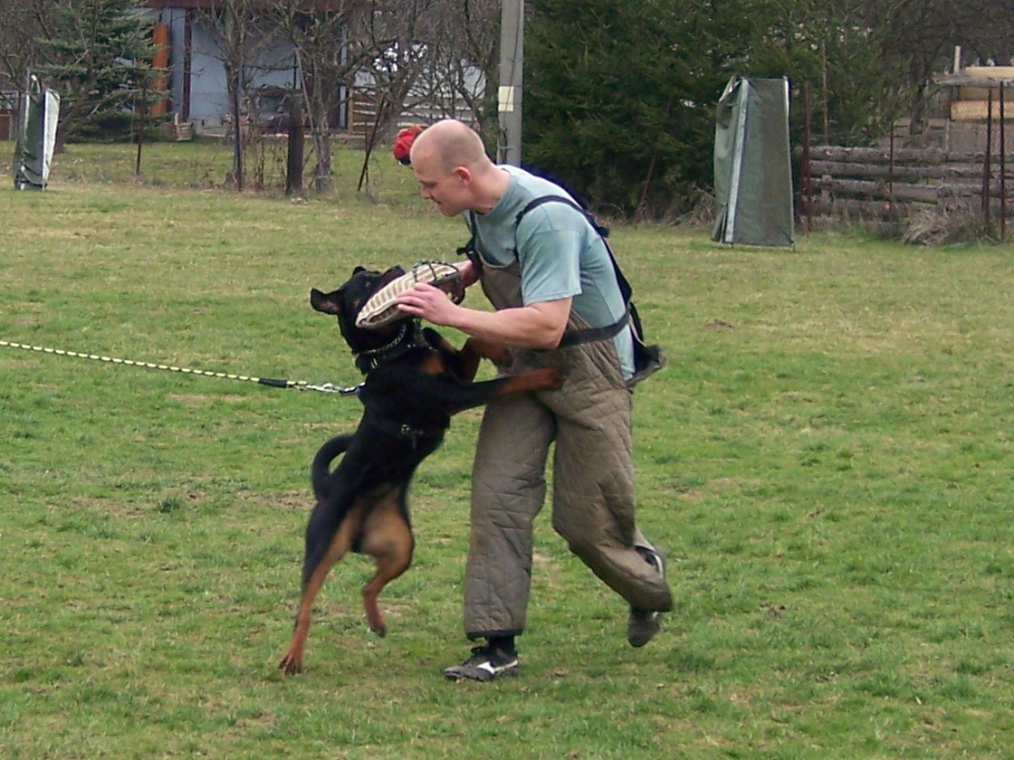 Afra obrana,březen 2007.jpg