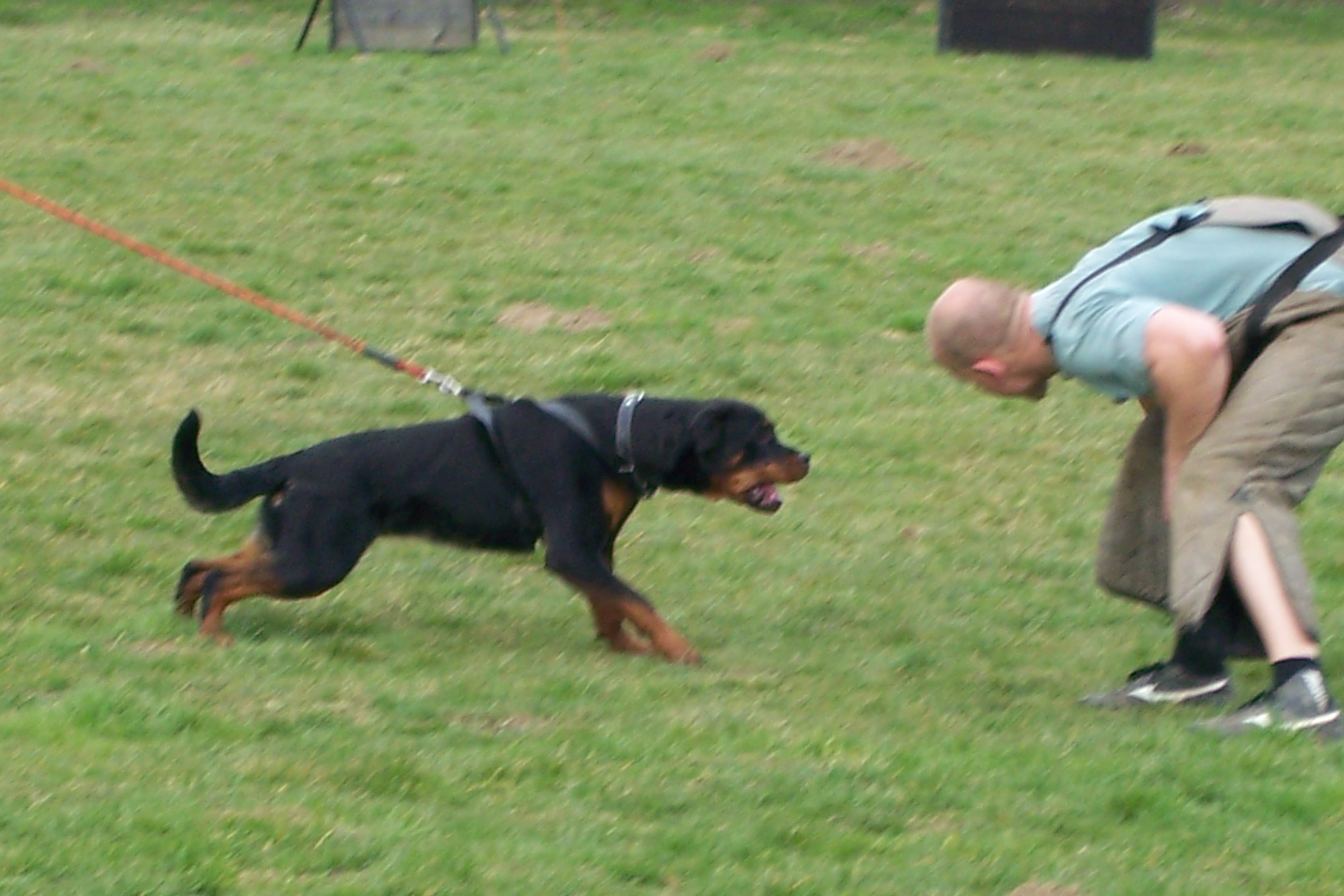 březen 2007 048.jpg
