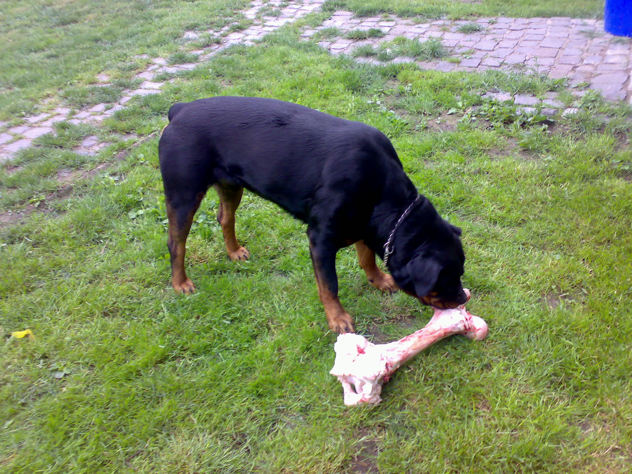 30052007021.jpg