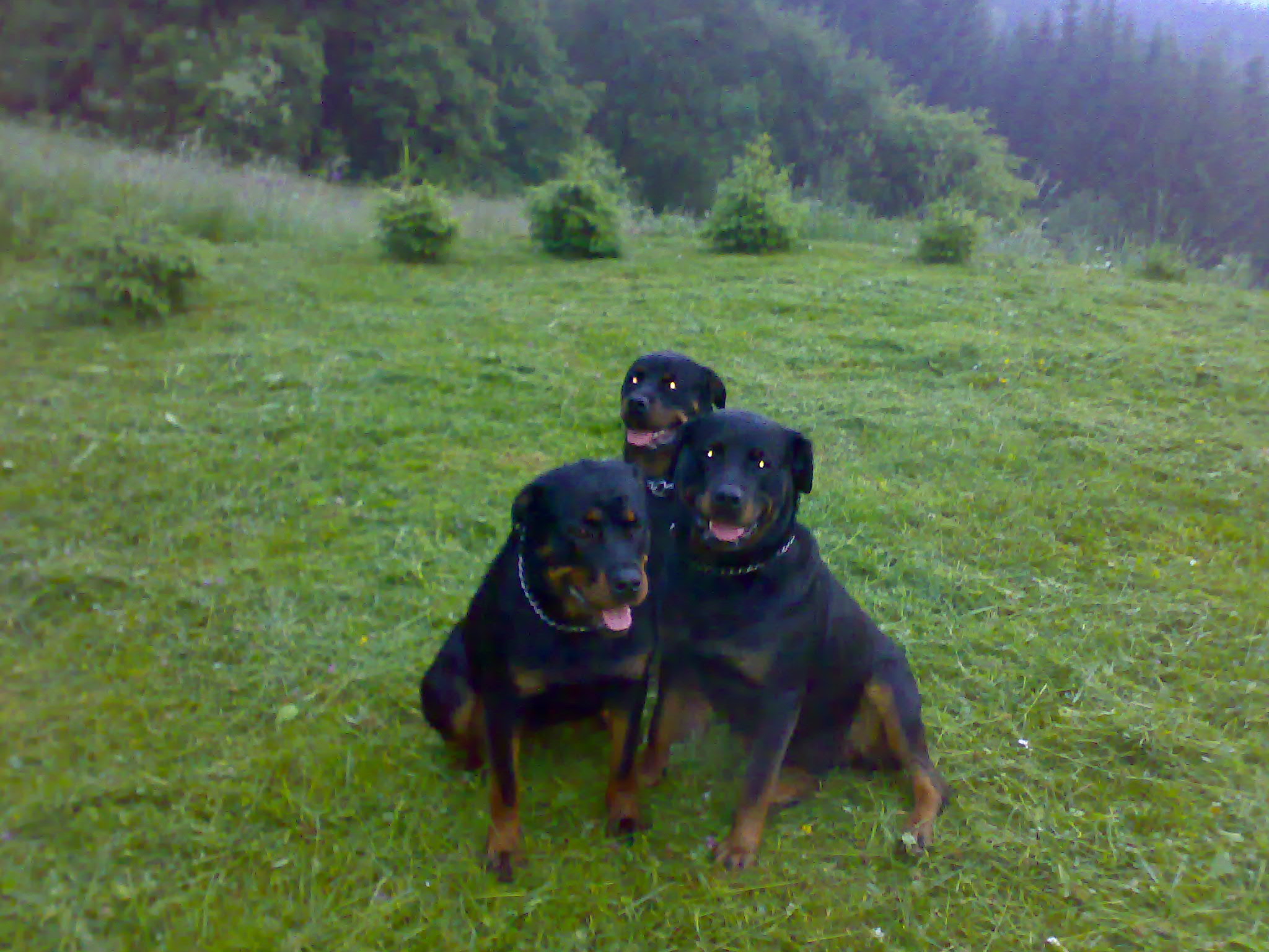 01062007056.jpg