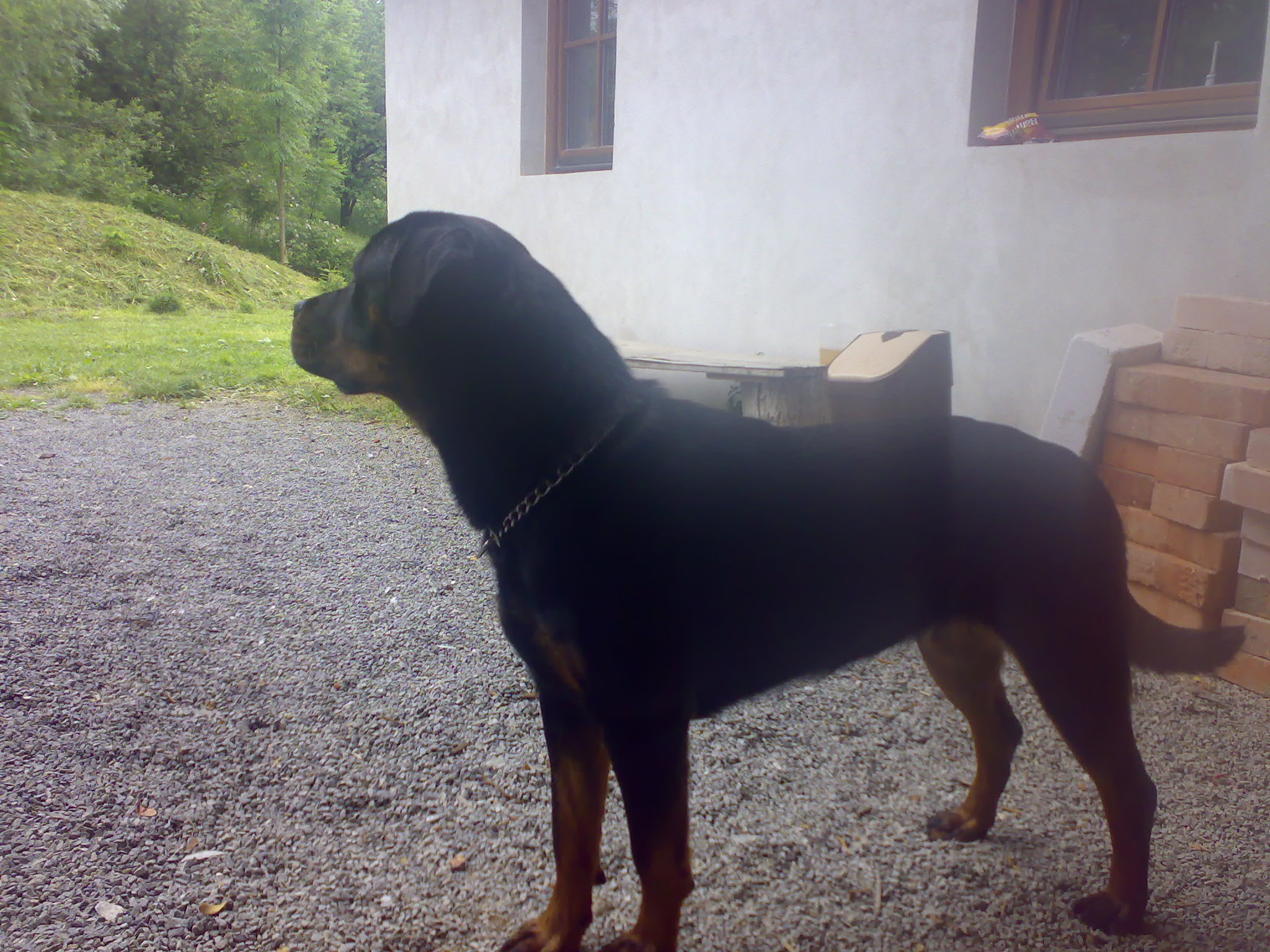 03062007079.jpg