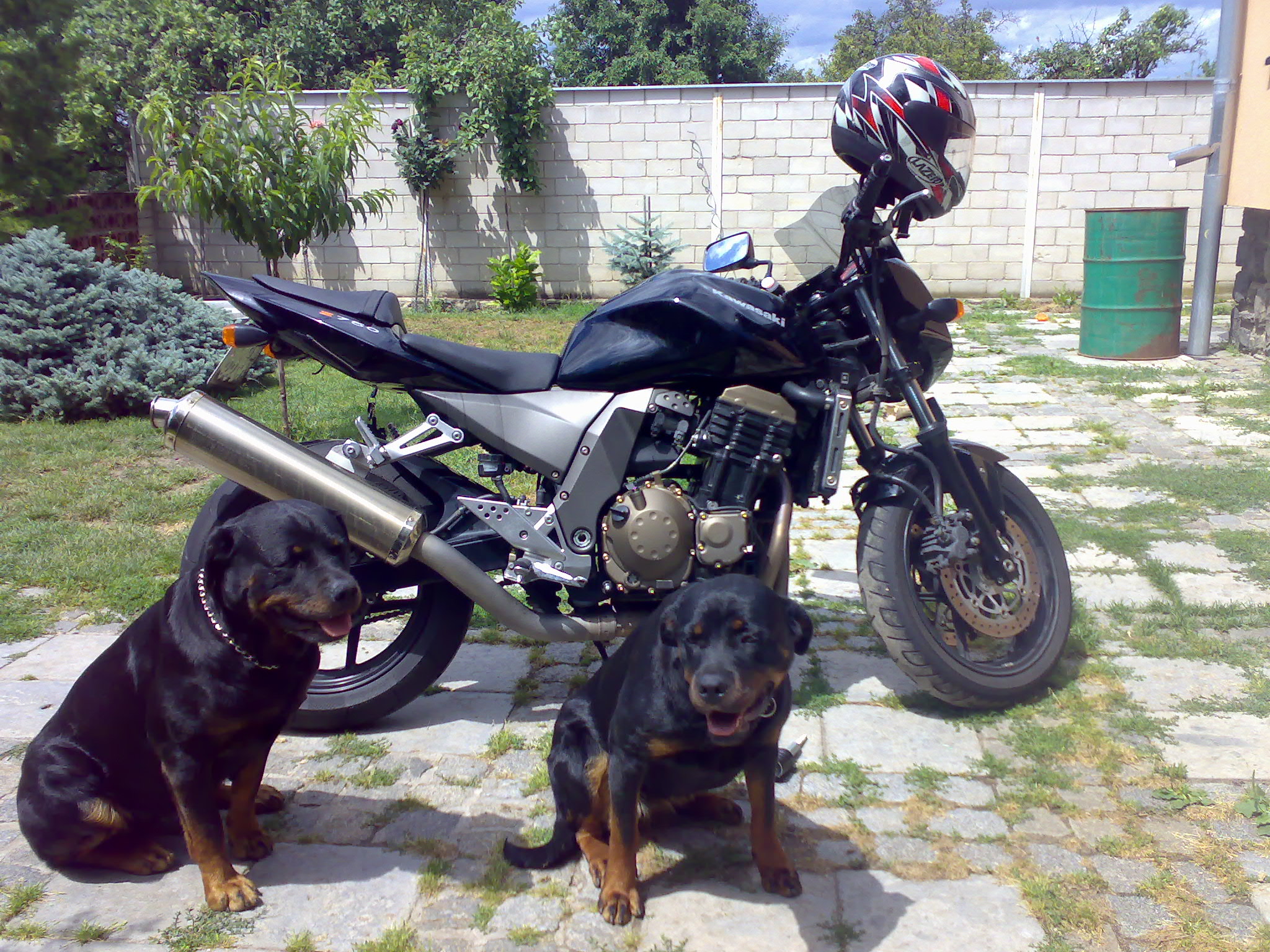 24062007147.jpg
