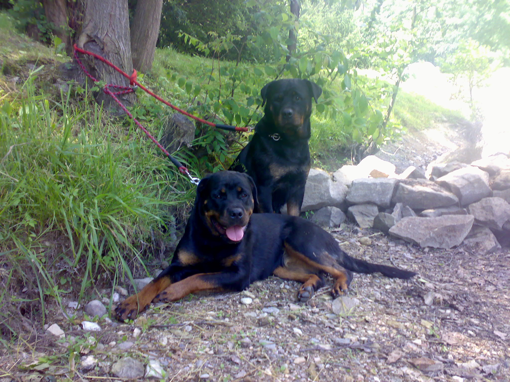 10062007102.jpg