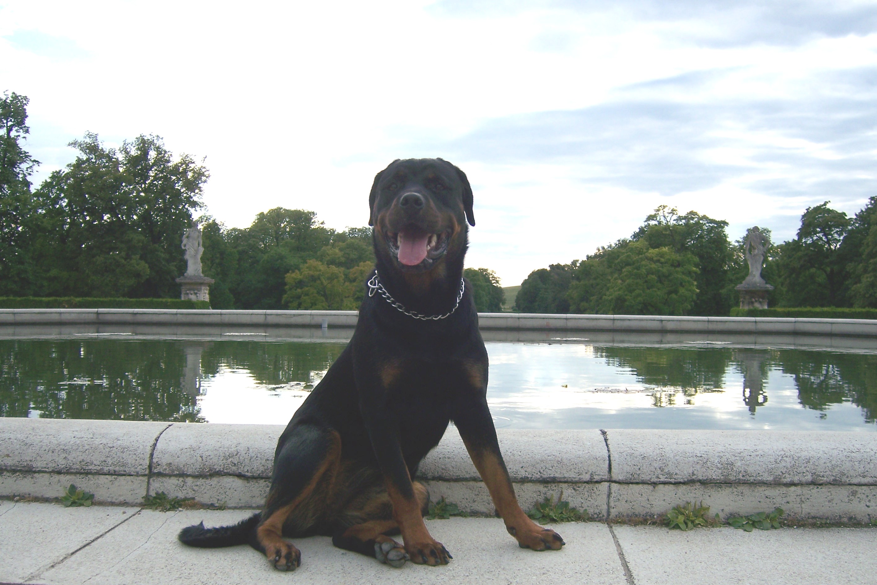 Afra 7 2007 023.jpg