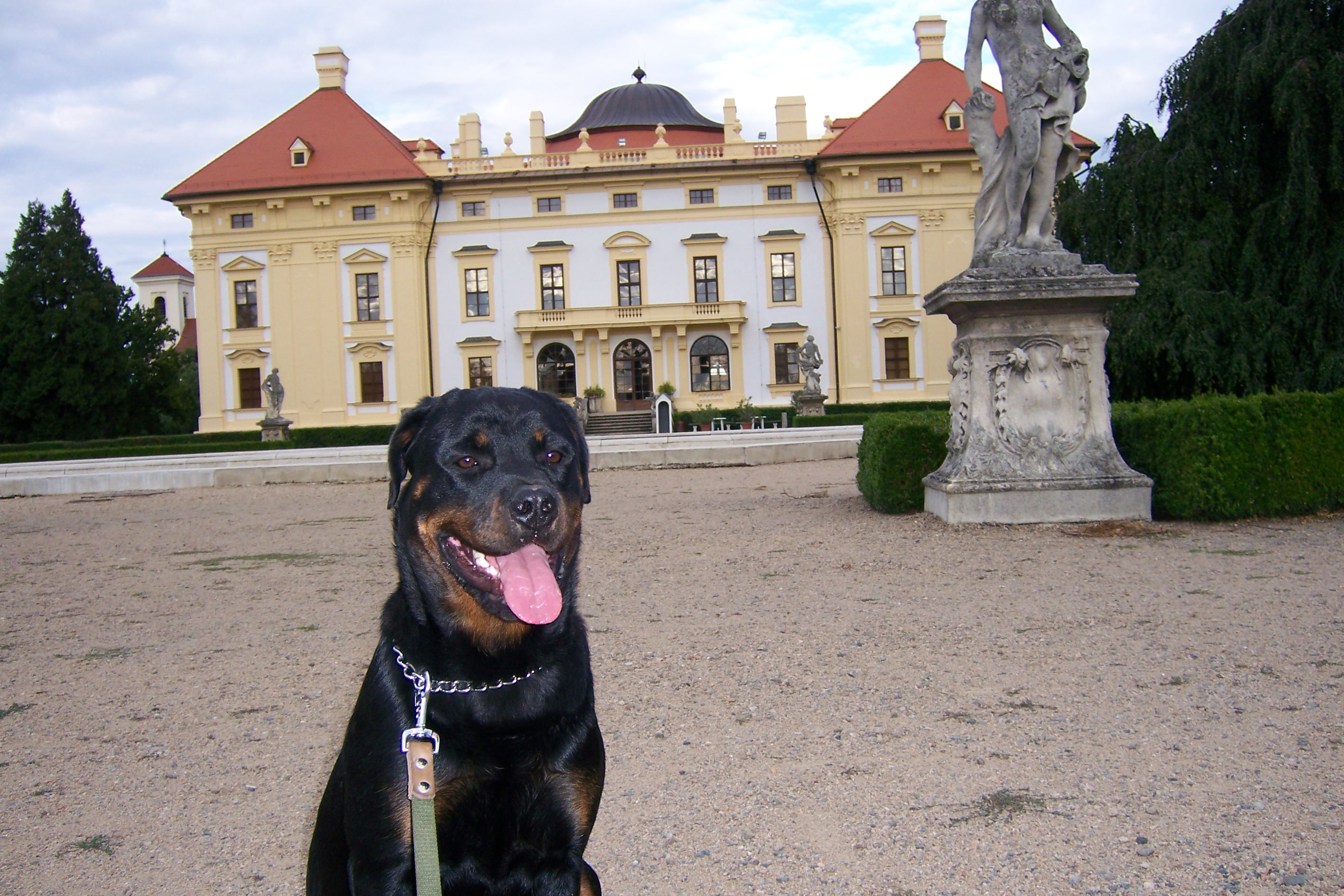 Afra 7 2007 032.jpg