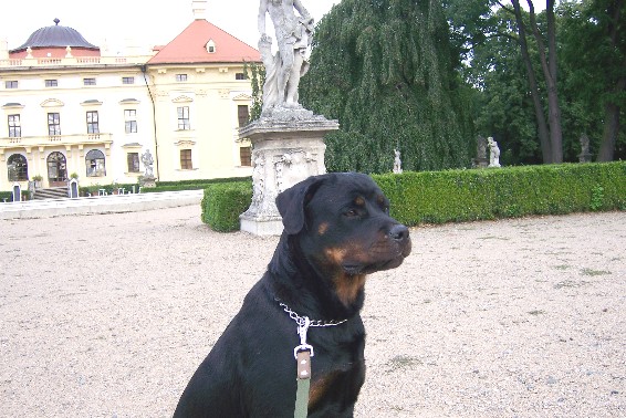 Afra 7 2007 030.jpg