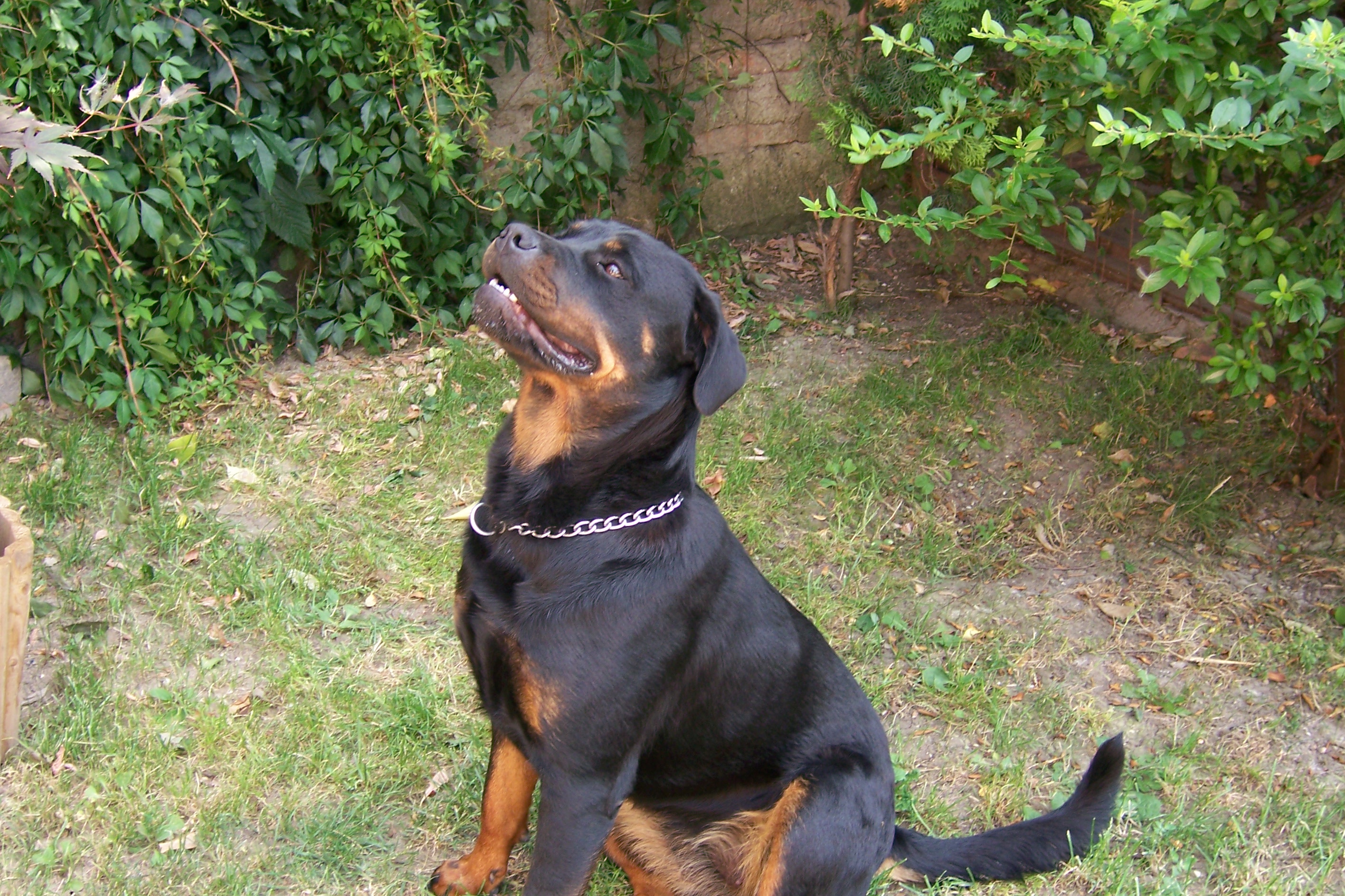 7 2007 019.jpg