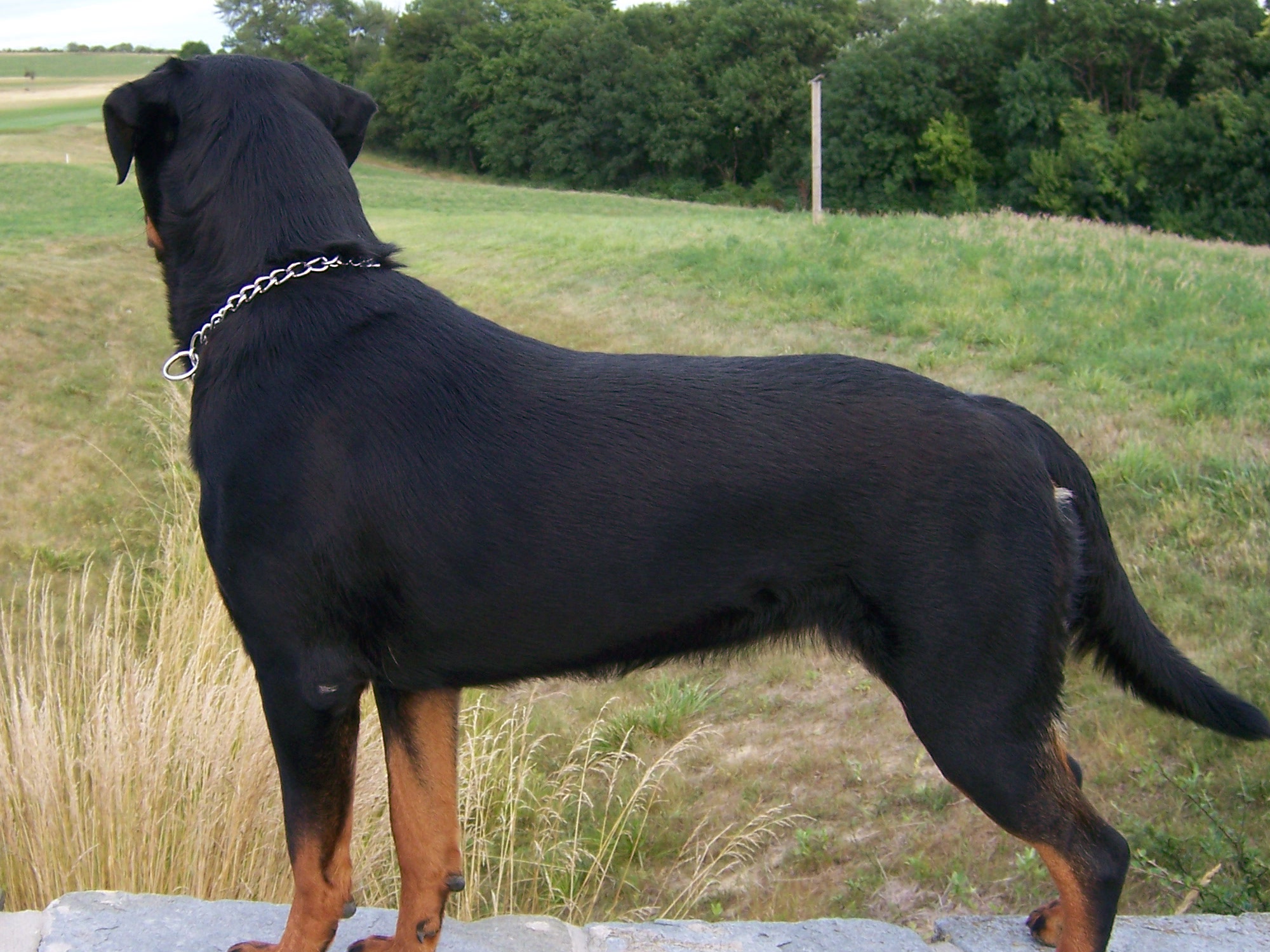 8 2007 010.jpg