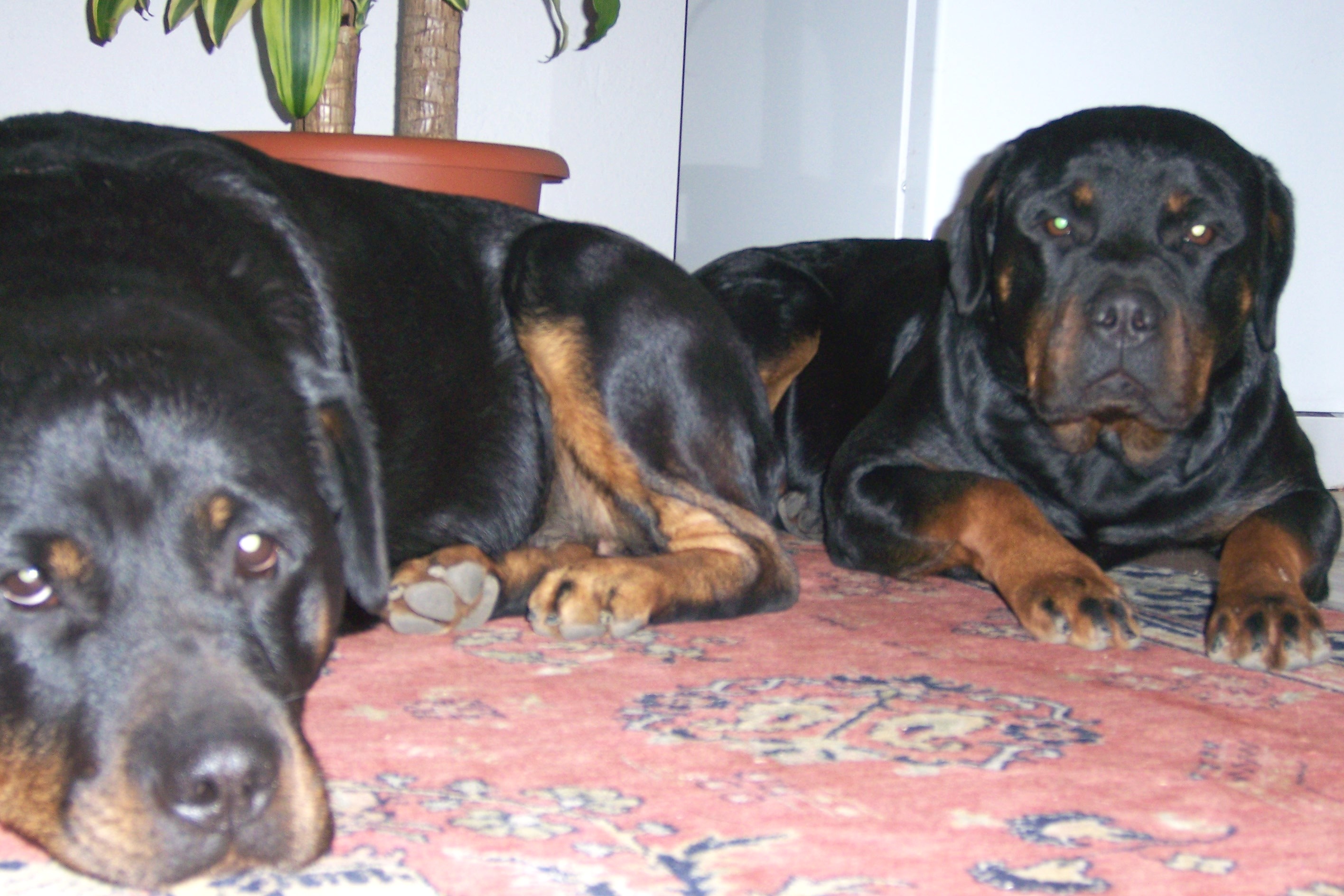 10 2007 006.jpg