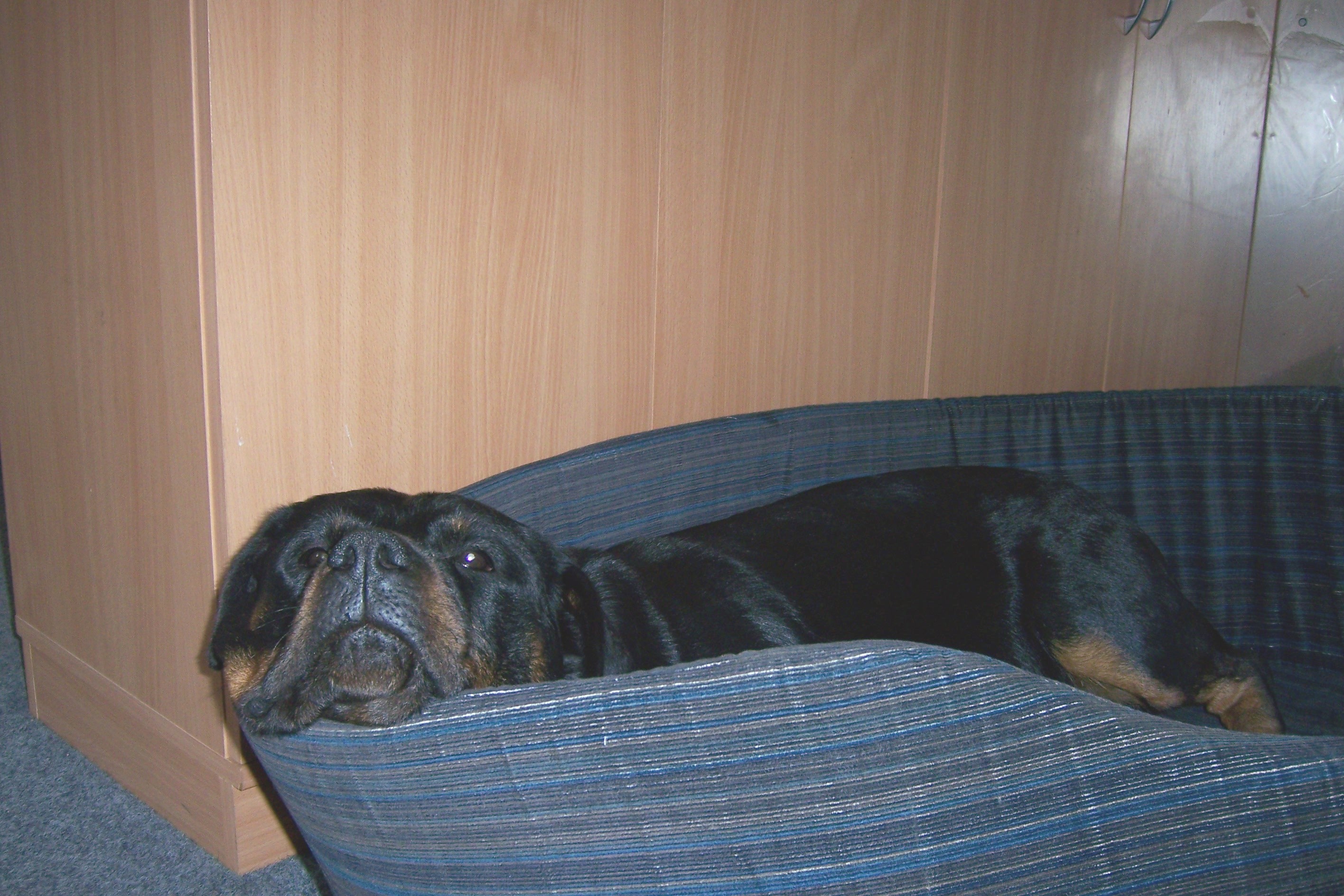 10 2007 014.jpg