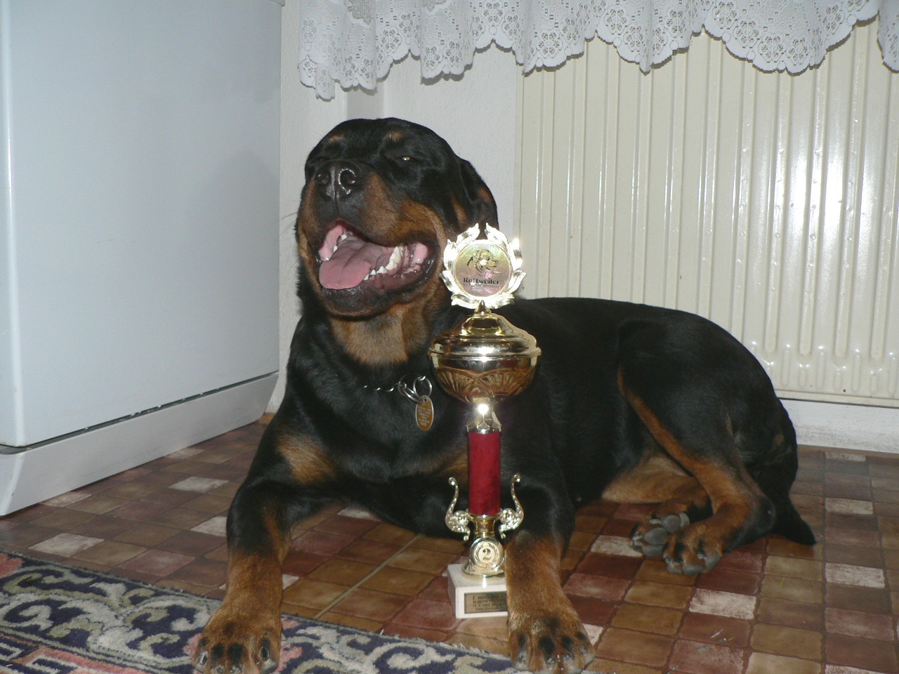 Arisa 10 2007 001.jpg