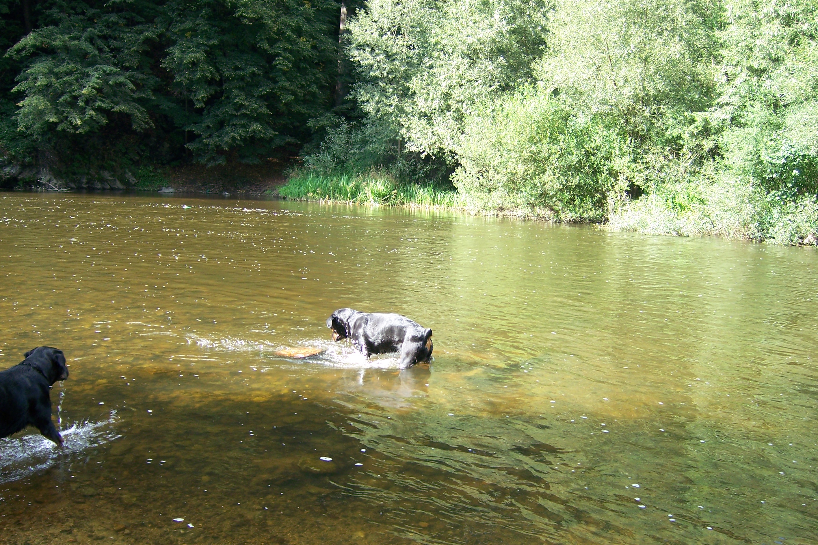 100_1750.jpg