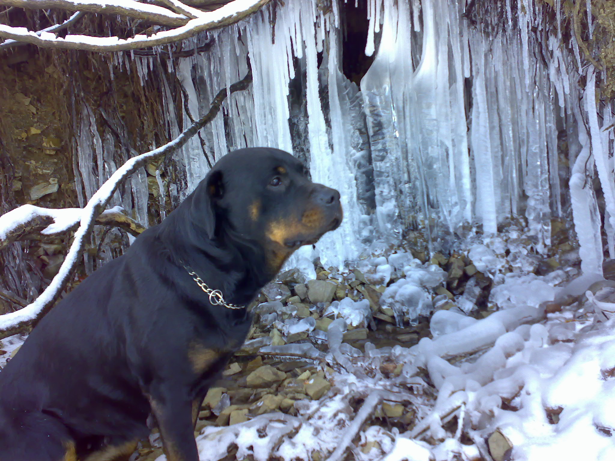 30122008295.jpg