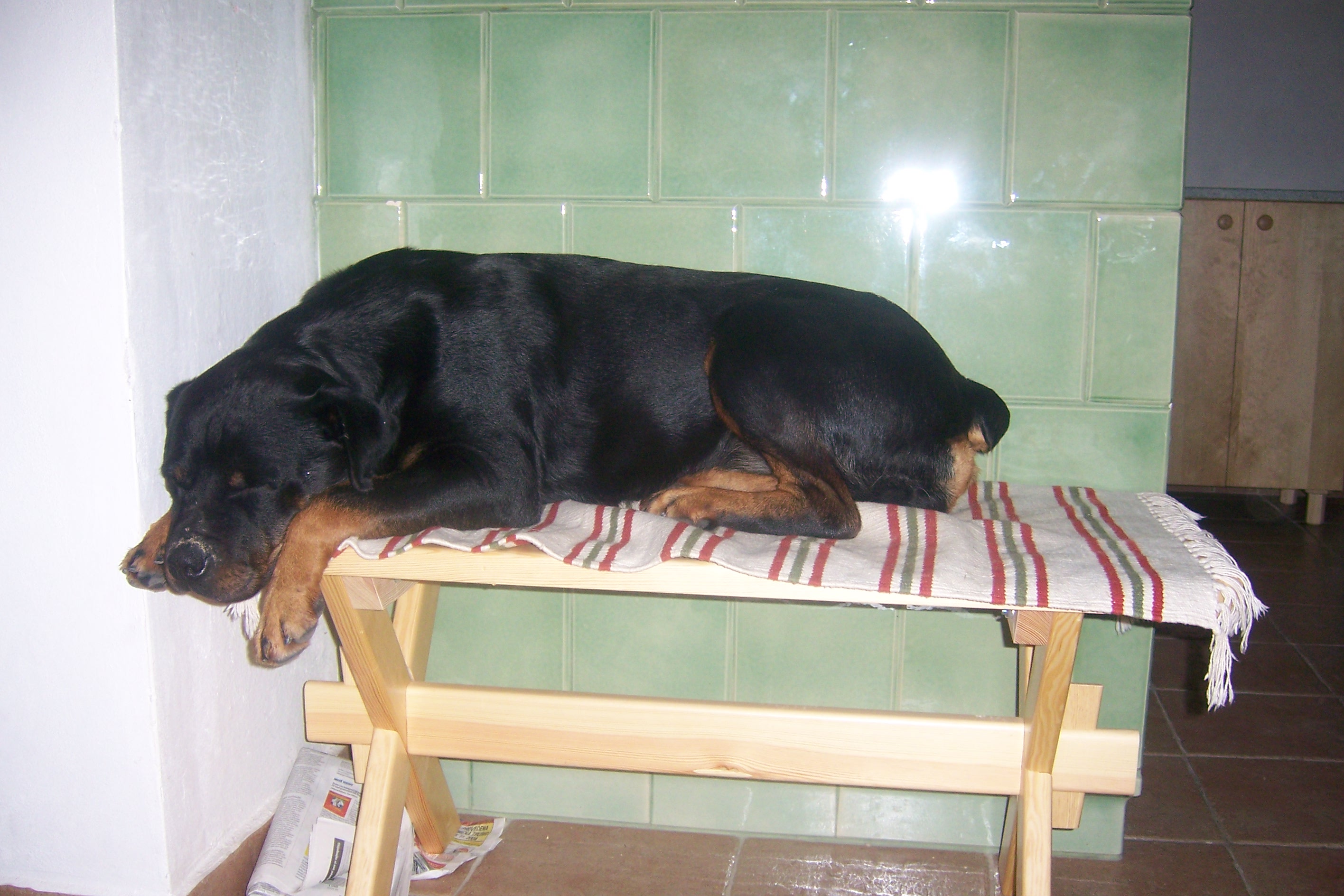 100_2367.jpg