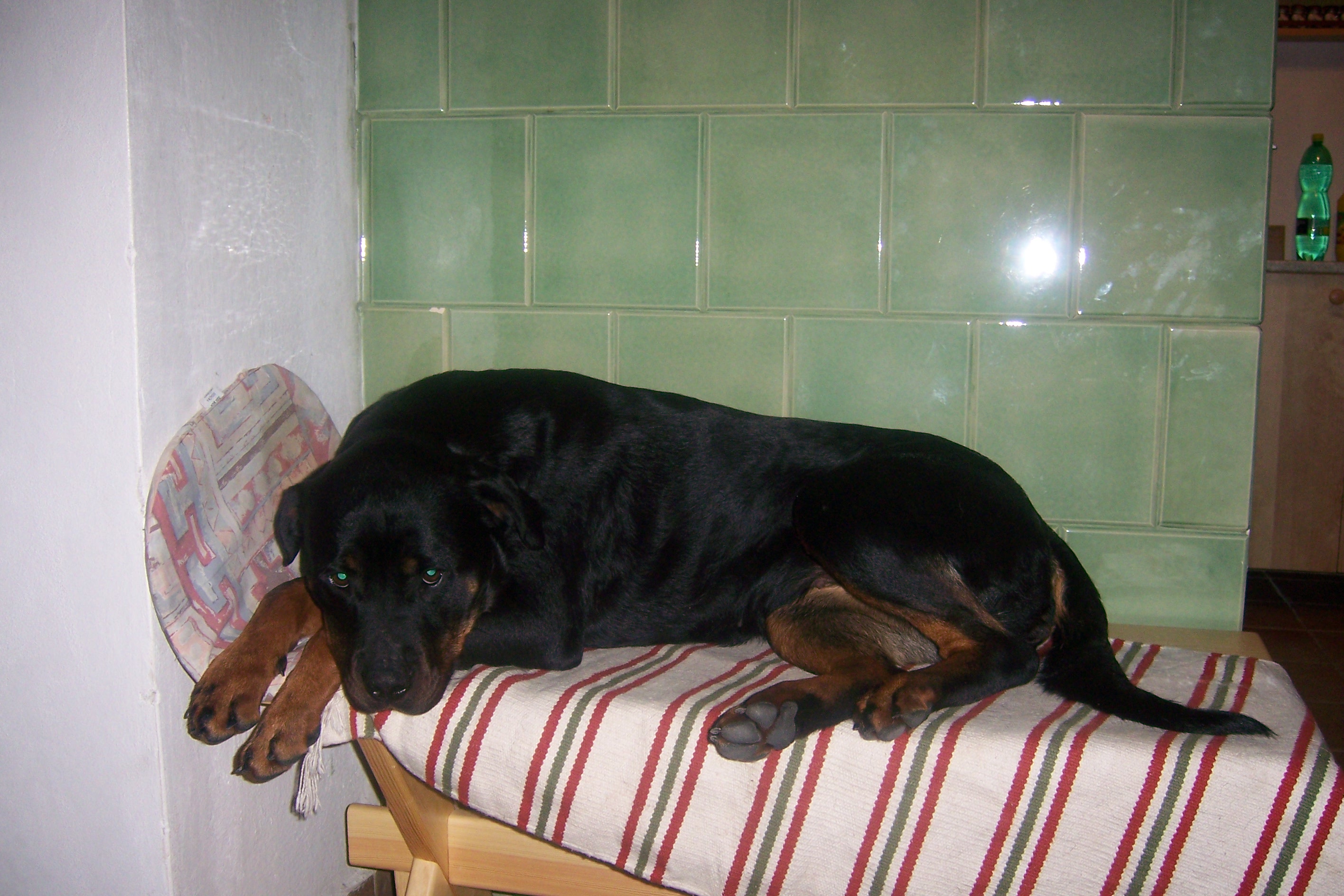 100_2355.jpg