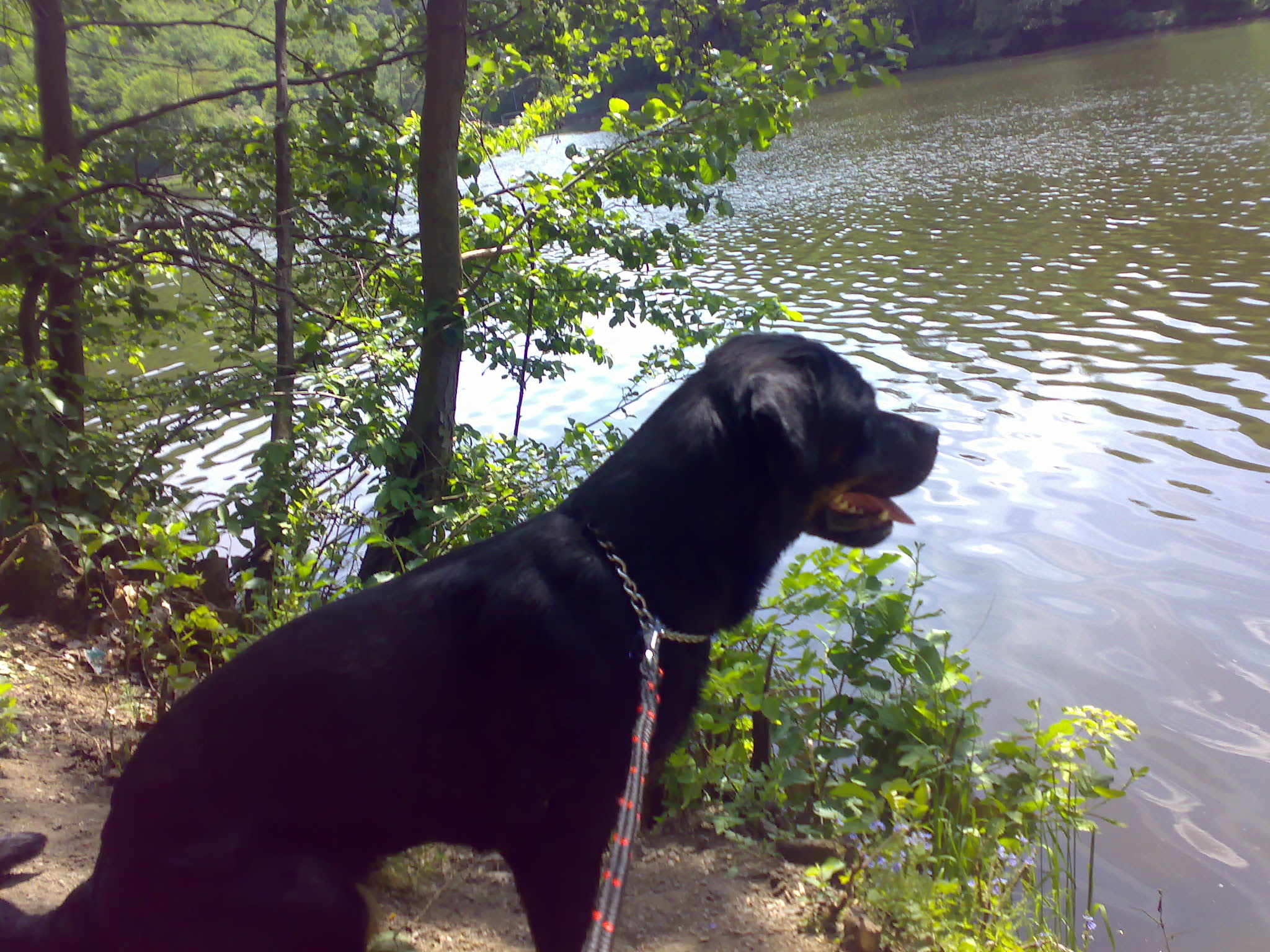 10052009048.jpg