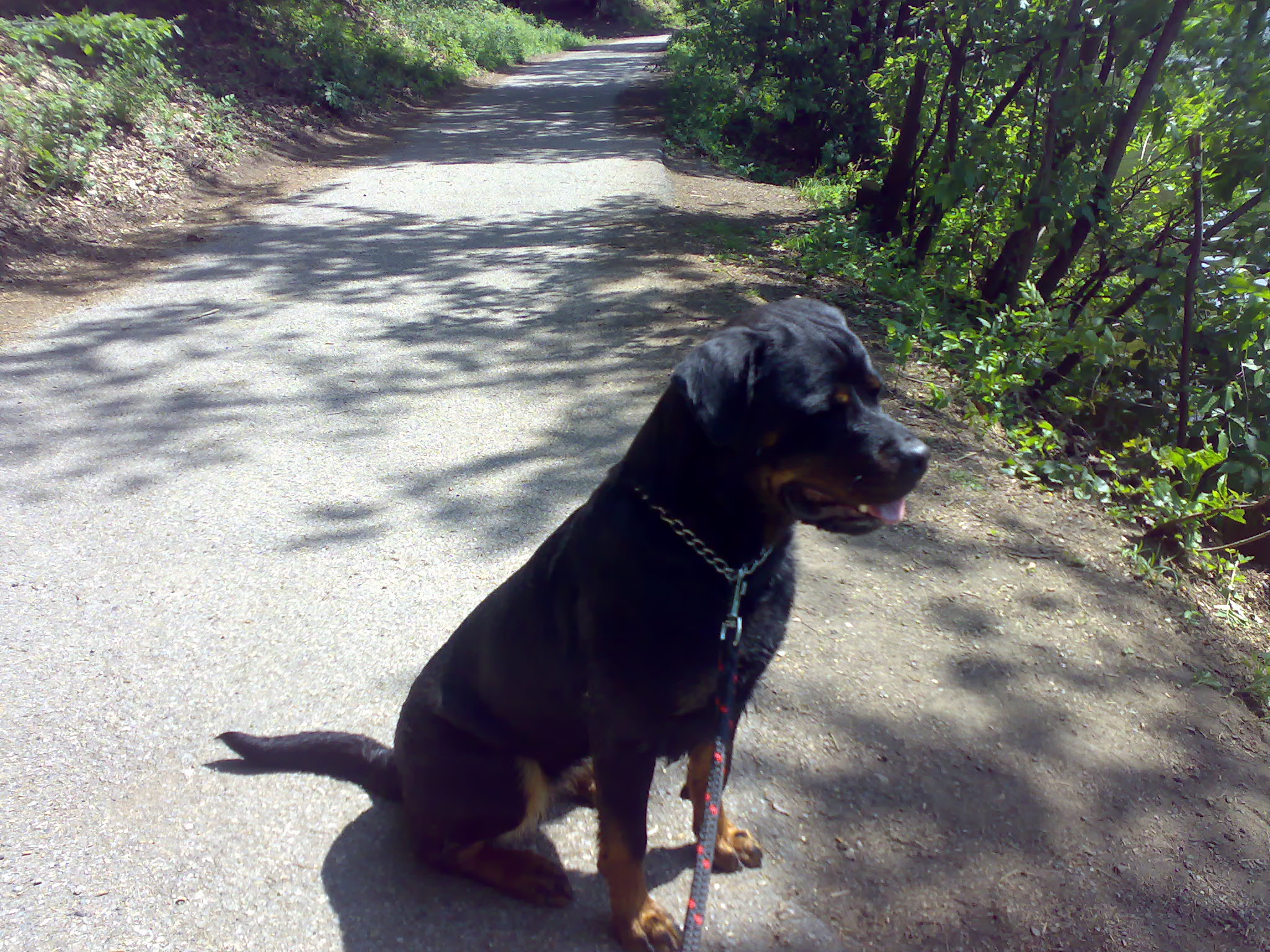 10052009050.jpg