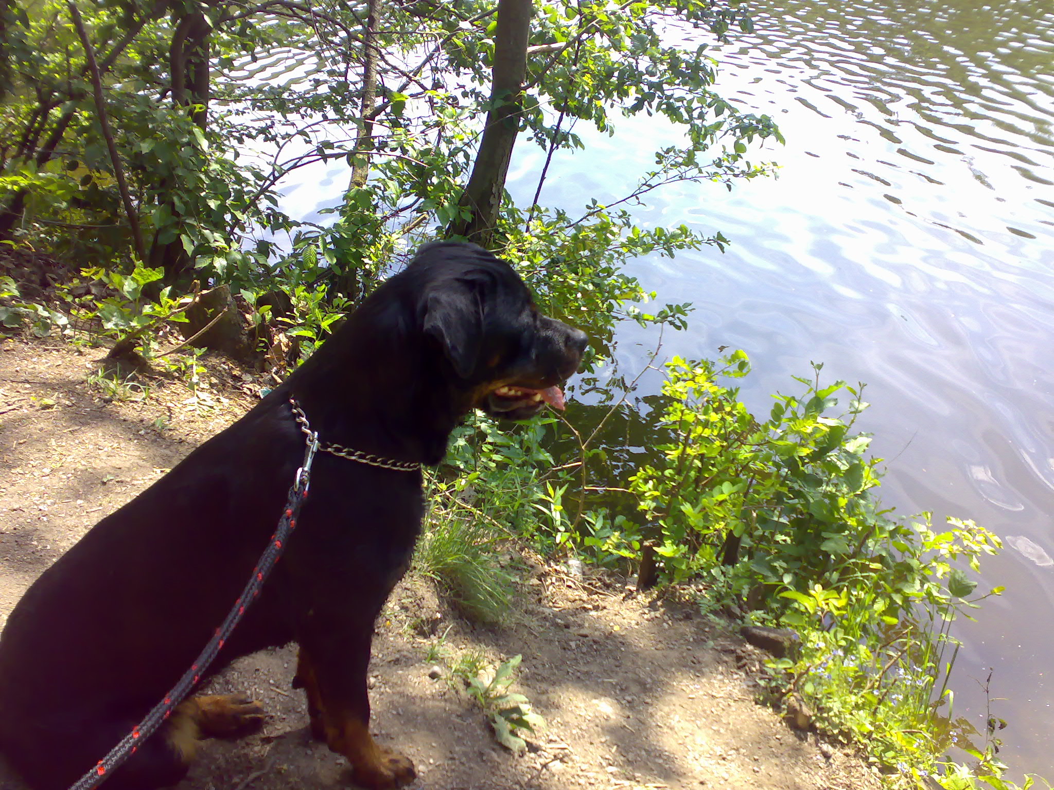10052009047.jpg