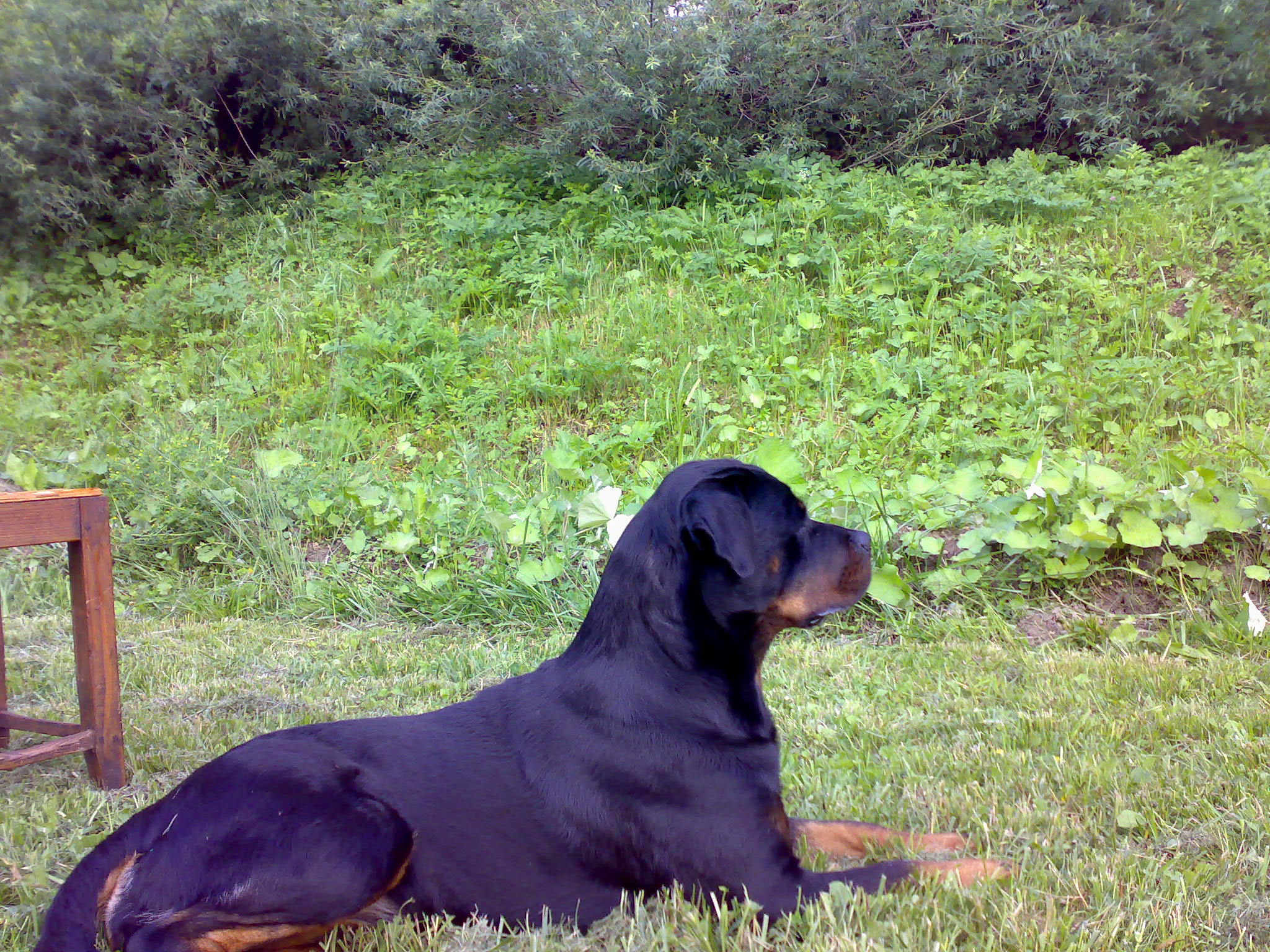04072009131.jpg