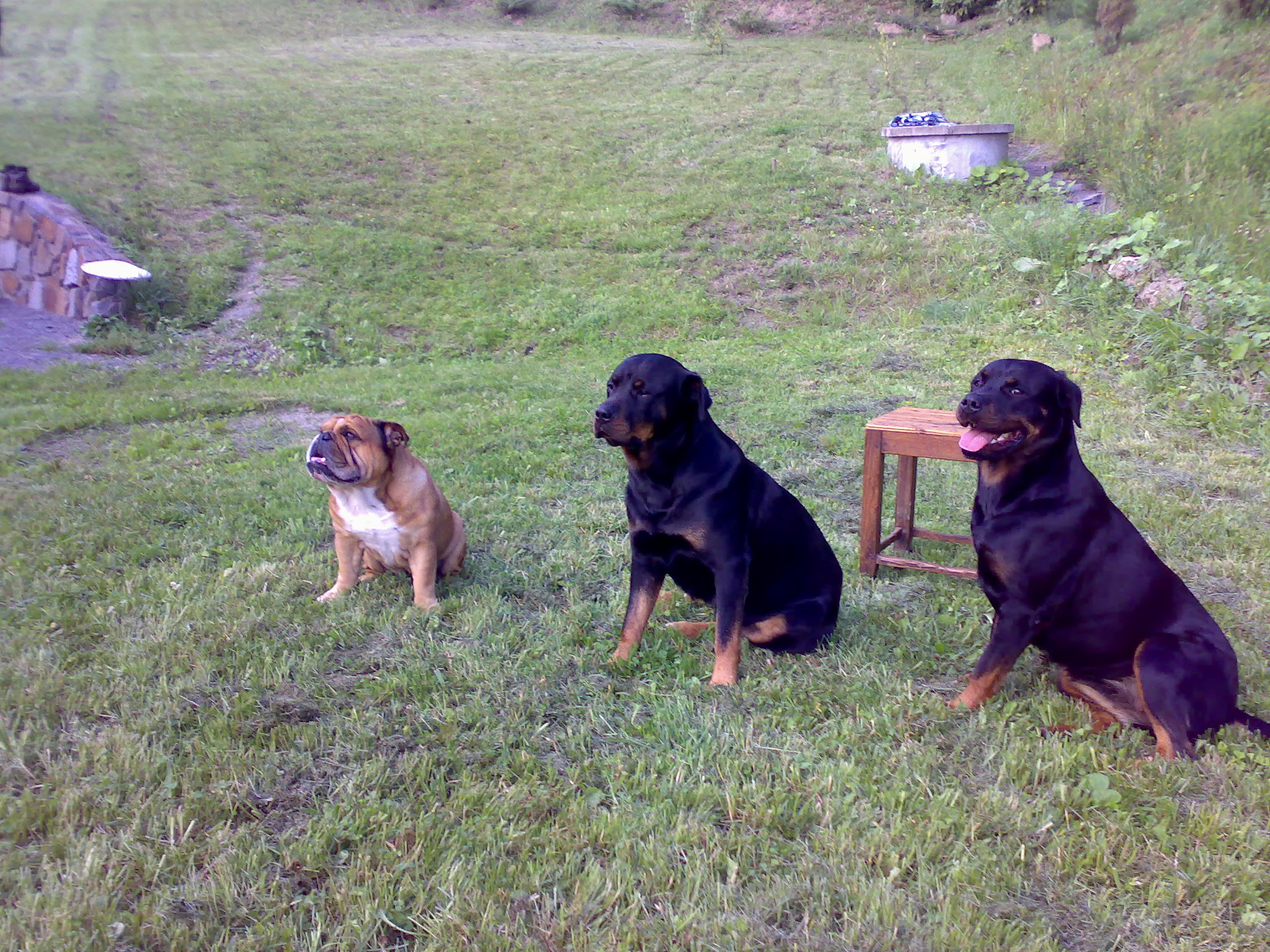 04072009121.jpg