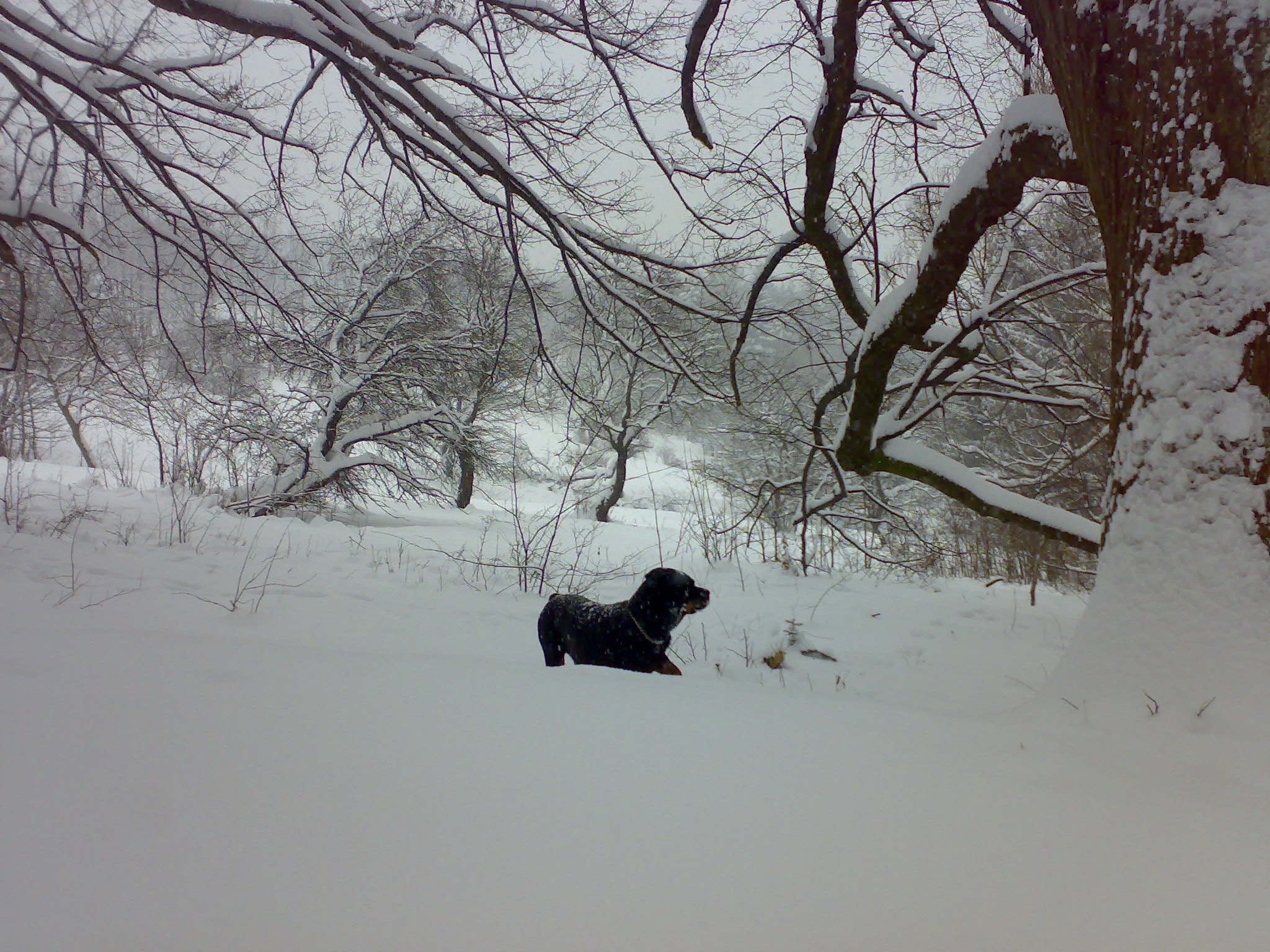 08012010455.jpg
