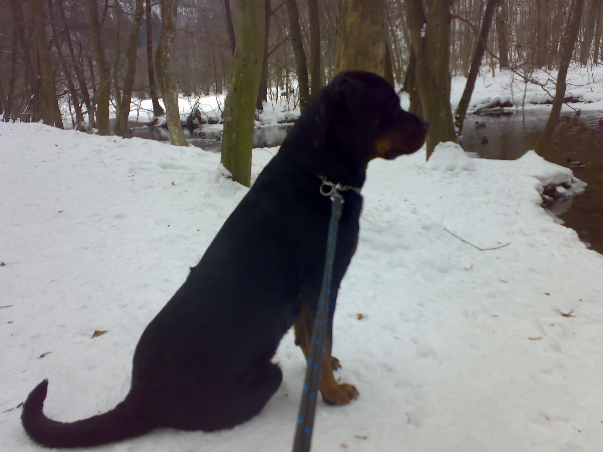 14022010473.jpg
