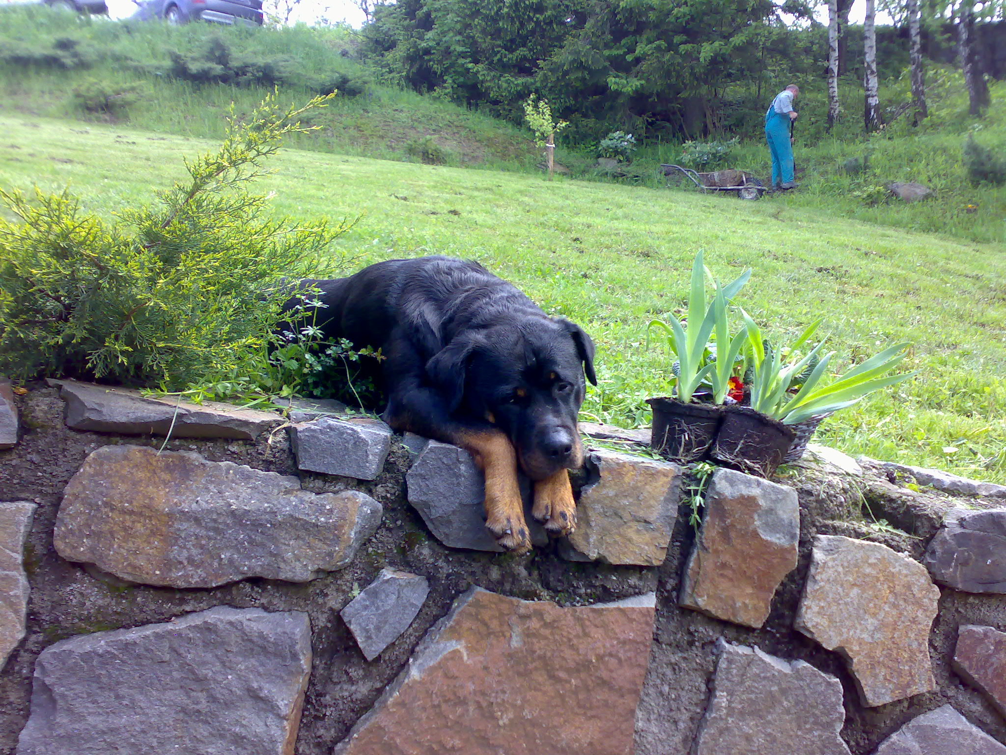 23052010500.jpg
