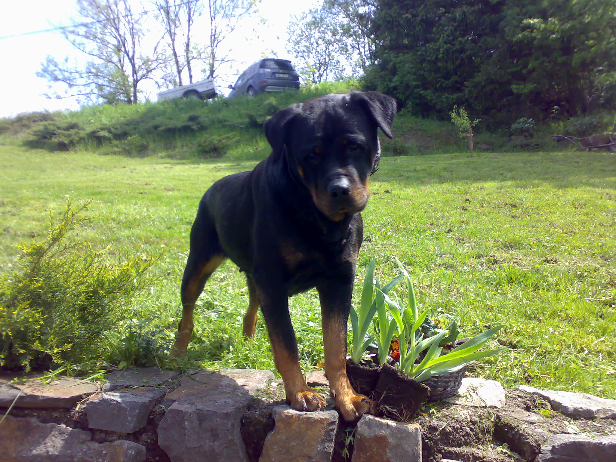 23052010502.jpg